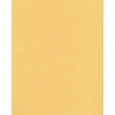 Тканевые ролеты Ара цвет желтый 1003